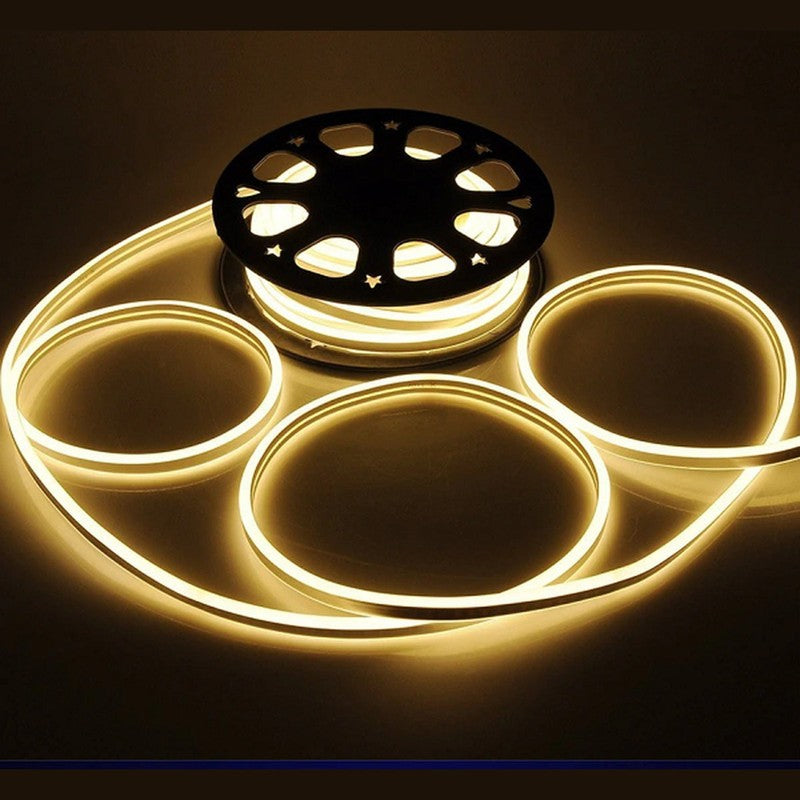Sunlight Neon LED