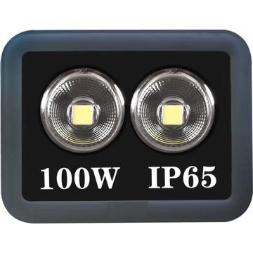 PJ-1102 100 Watt Cob Ledli Projektör