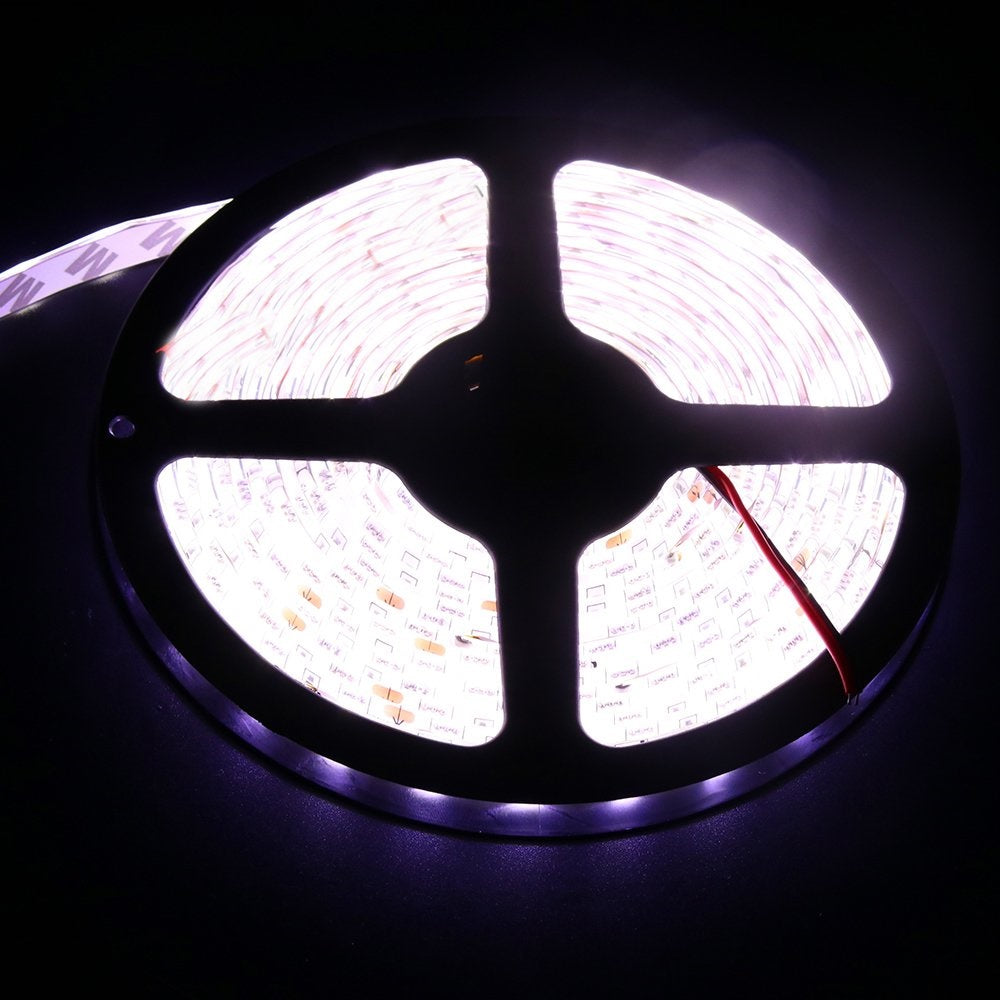 24V Powermax Şerit Led 5050 Mt 60 Led IP65