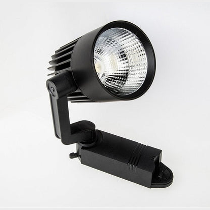 30 Watt Ray Spot
