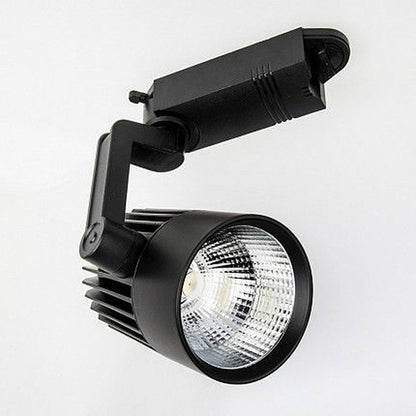 Ray Spot Boş Kasa