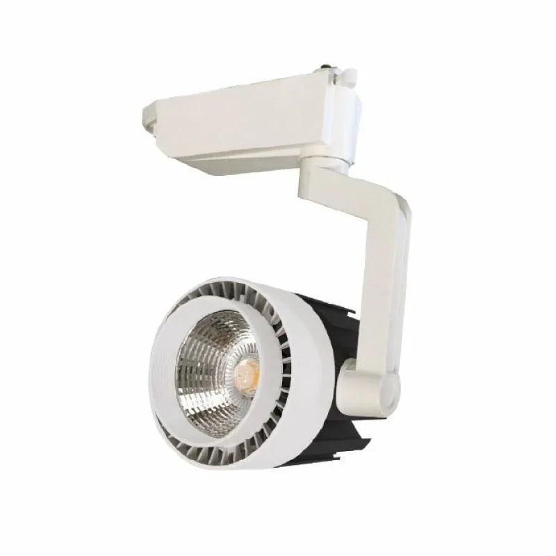 20 Watt Ray Spot
