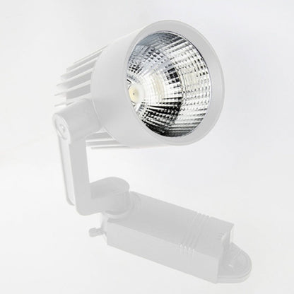 20 Watt Ray Spot