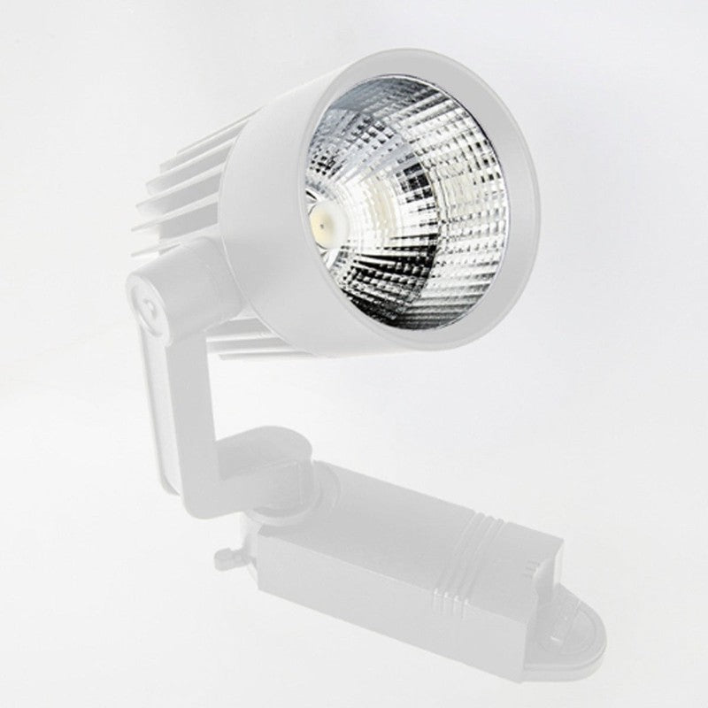30 Watt Ray Spot