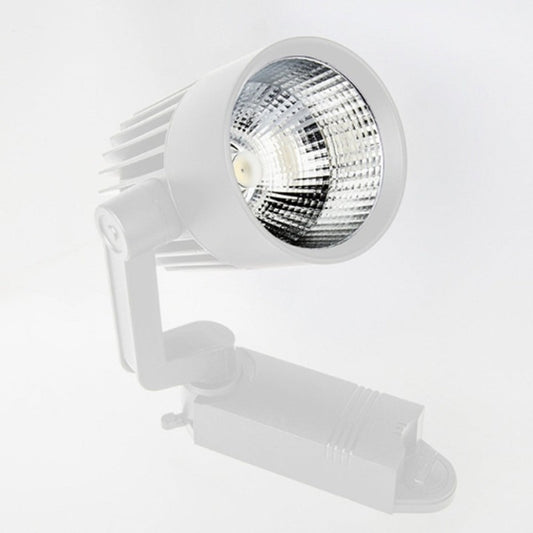 30 Watt Ray Spot